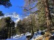 Dateiname=20220303-arolla-9778.jpg
Dateigröße=755KB
Abmessungen: 1700x1275
hinzugefügt am: 05. März 2022 20220303-arolla-9778.jpg