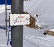 Dateiname=20220303-arolla-9820.jpg
Dateigröße=281KB
Abmessungen: 1700x1499
hinzugefügt am: 05. März 2022 20220303-arolla-9820.jpg