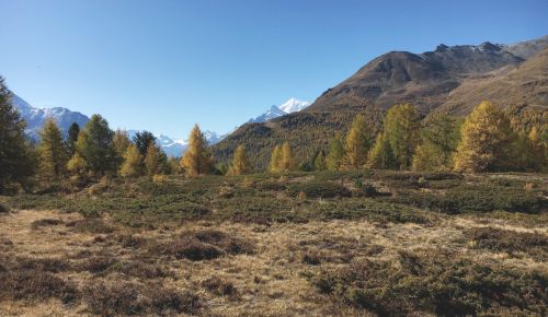 Moosalp, 11. Oktober 2017
