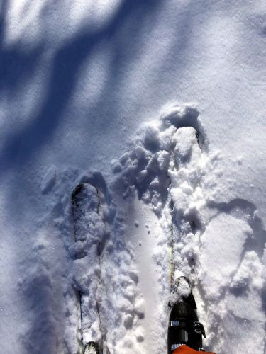 14. März 2018
