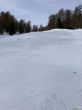 20210218-b-buerchen-moosalp-3914.jpg
