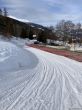 20210218-b-buerchen-moosalp-3928.jpg