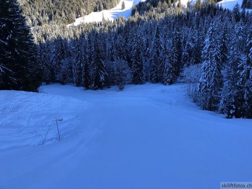 20180206-charmey-9365.jpg