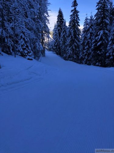 20180206-charmey-9368.jpg