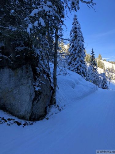 20180206-charmey-9370.jpg