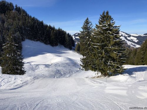20180206-charmey-9453.jpg