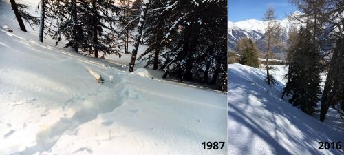 Eischoll, Januar 1987 und März 2016 (Stelle des grössten Sturzes im Skileben des Galeriebetreibers 1987, samt Zusammenstoss mit Fels und Baum)
