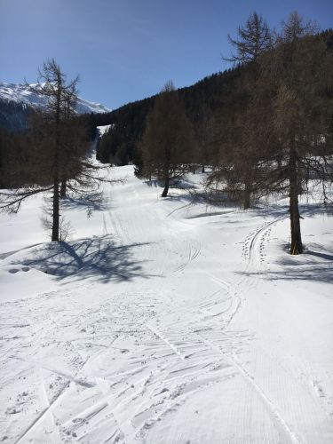 Eischoll, 11. März 2016
