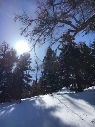 Eischoll, 11. März 2016
