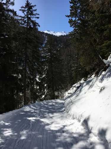 Verbindung Eischoll-Unterbäch, 11. März 2016
