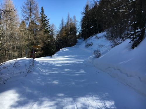 20160311-b-eischoll-3321.jpg