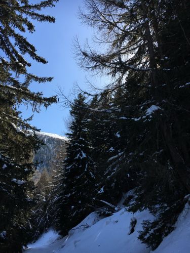 Verbindung Eischoll-Unterbäch, 11. März 2016 - Fortsetzung dieses Tages in Unterbäch [url=http://www.jacomet.ch/themen/skilift/album/thumbnails.php?album=368]hier[/url] 
