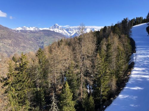 20190417-graechen-4103.jpg