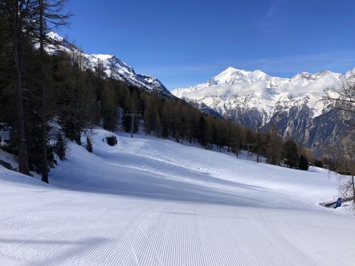 20190417-graechen-4132.jpg