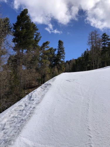 20190417-graechen-4228.jpg