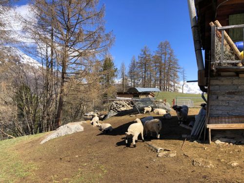 20190417-graechen-4235.jpg