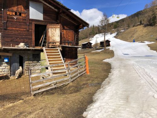 20190417-graechen-4270.jpg