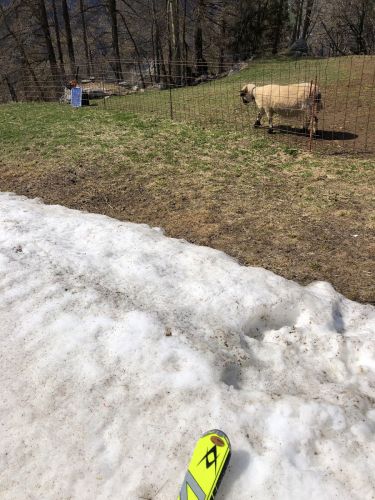 20190417-graechen-4272.jpg
