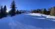 20250205-grimentz-zinal-079.jpg