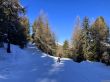 20250205-grimentz-zinal-082.jpg