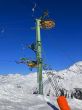 Dateiname=20250205-grimentz-zinal-253.jpg
Dateigröße=458KB
Abmessungen: 1350x1800
hinzugefügt am: 13. Februar 2025 20250205-grimentz-zinal-253.jpg