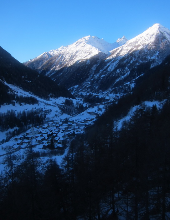 16. Januar 2011
