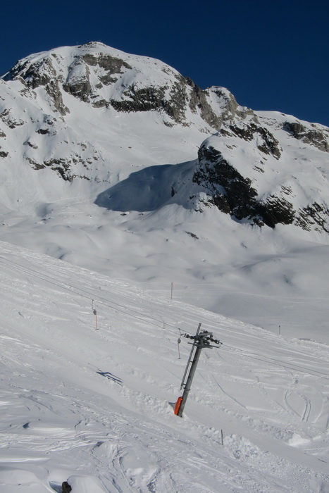 16. Januar 2011
