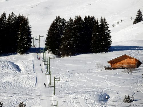 20170119-mosses-leysin-5325.jpg