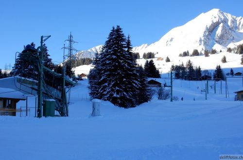 20170119-mosses-leysin-5330.jpg