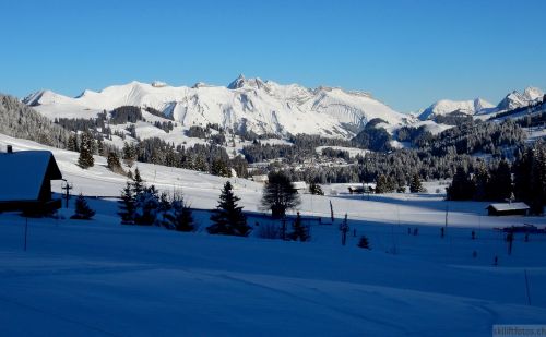 20170119-mosses-leysin-5336.jpg