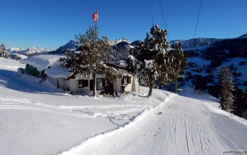 20170119-mosses-leysin-5340.jpg