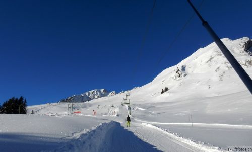 20170119-mosses-leysin-5347.jpg