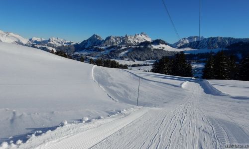 20170119-mosses-leysin-5348.jpg