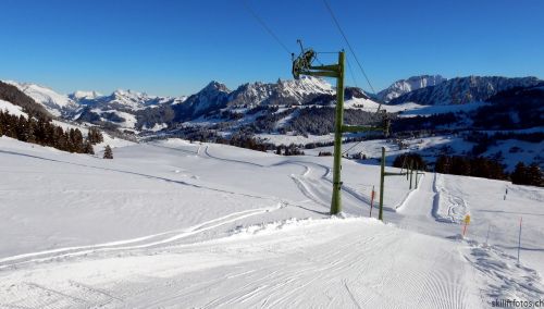 20170119-mosses-leysin-5351.jpg