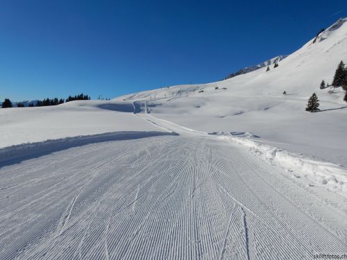 20170119-mosses-leysin-5358.jpg