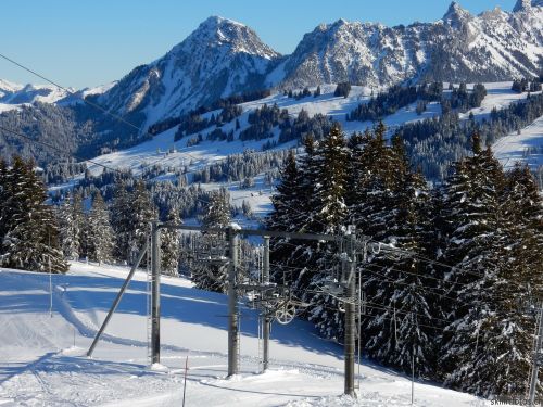 20170119-mosses-leysin-5359.jpg