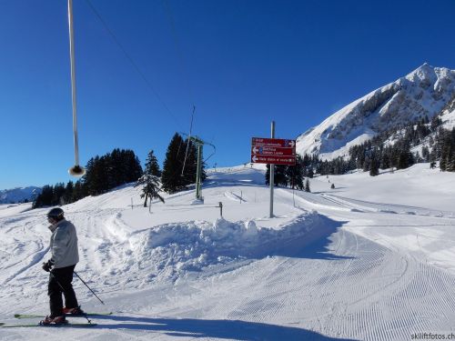 20170119-mosses-leysin-5380.jpg