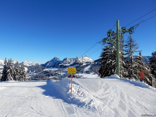 20170119-mosses-leysin-5381.jpg