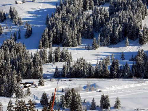 20170119-mosses-leysin-5383.jpg