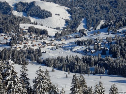 20170119-mosses-leysin-5388.jpg