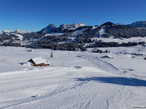 20170119-mosses-leysin-5390.jpg