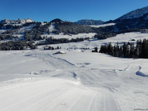 20170119-mosses-leysin-5392.jpg