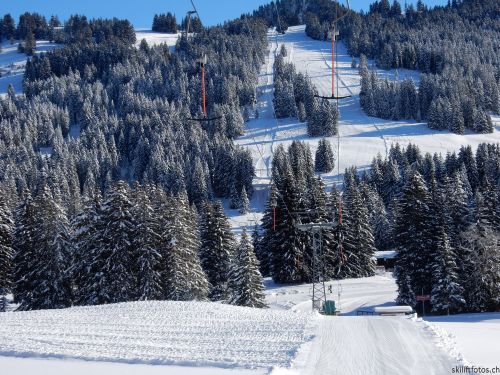 20170119-mosses-leysin-5397.jpg