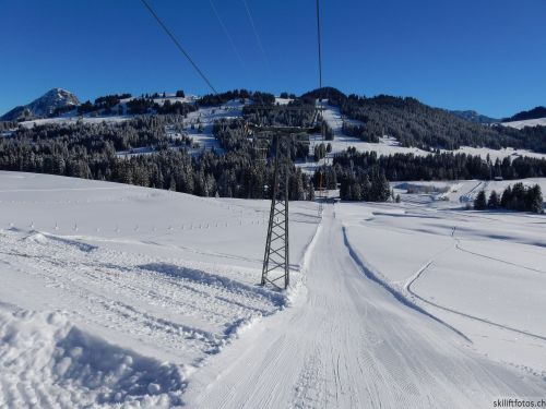 20170119-mosses-leysin-5403.jpg