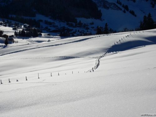 20170119-mosses-leysin-5406.jpg