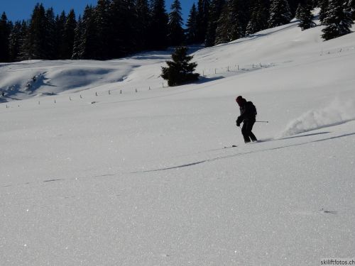 20170119-mosses-leysin-5410.jpg