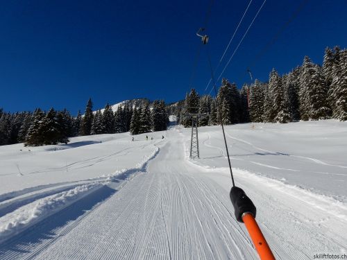 20170119-mosses-leysin-5412.jpg