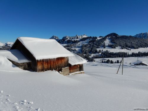 20170119-mosses-leysin-5415.jpg
