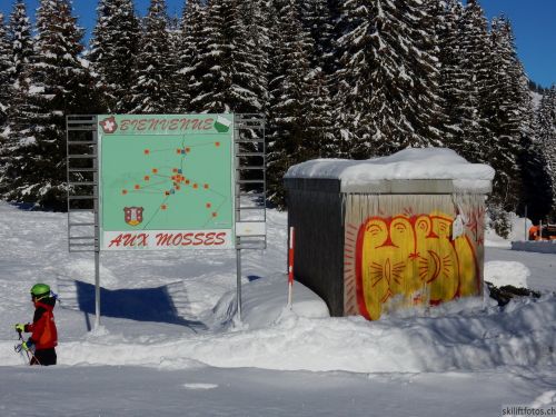 20170119-mosses-leysin-5417.jpg