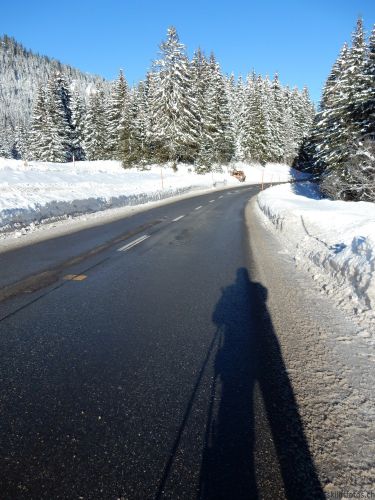 20170119-mosses-leysin-5419.jpg